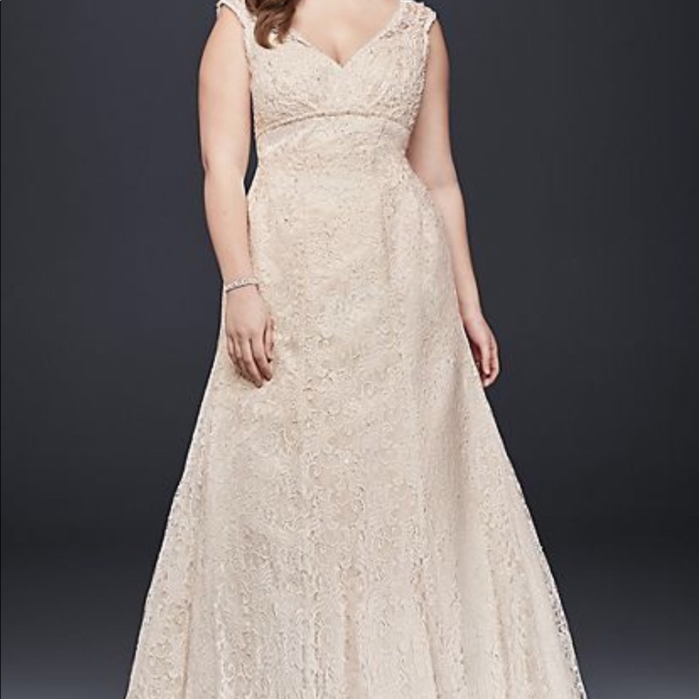 David’s Bridal Wedding dress (sz 20)